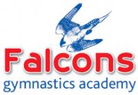 Falcon's Gymnastics Academy